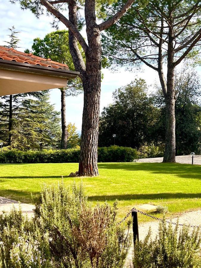 Nuances Del Conero Relais Bed & Breakfast Кастелфидардо Екстериор снимка